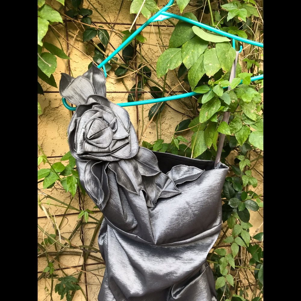 CACHÉ Beauteous Silvery Gray Prom / Cocktail Dress / Formal Sz. 6 - Picture 5 of 9